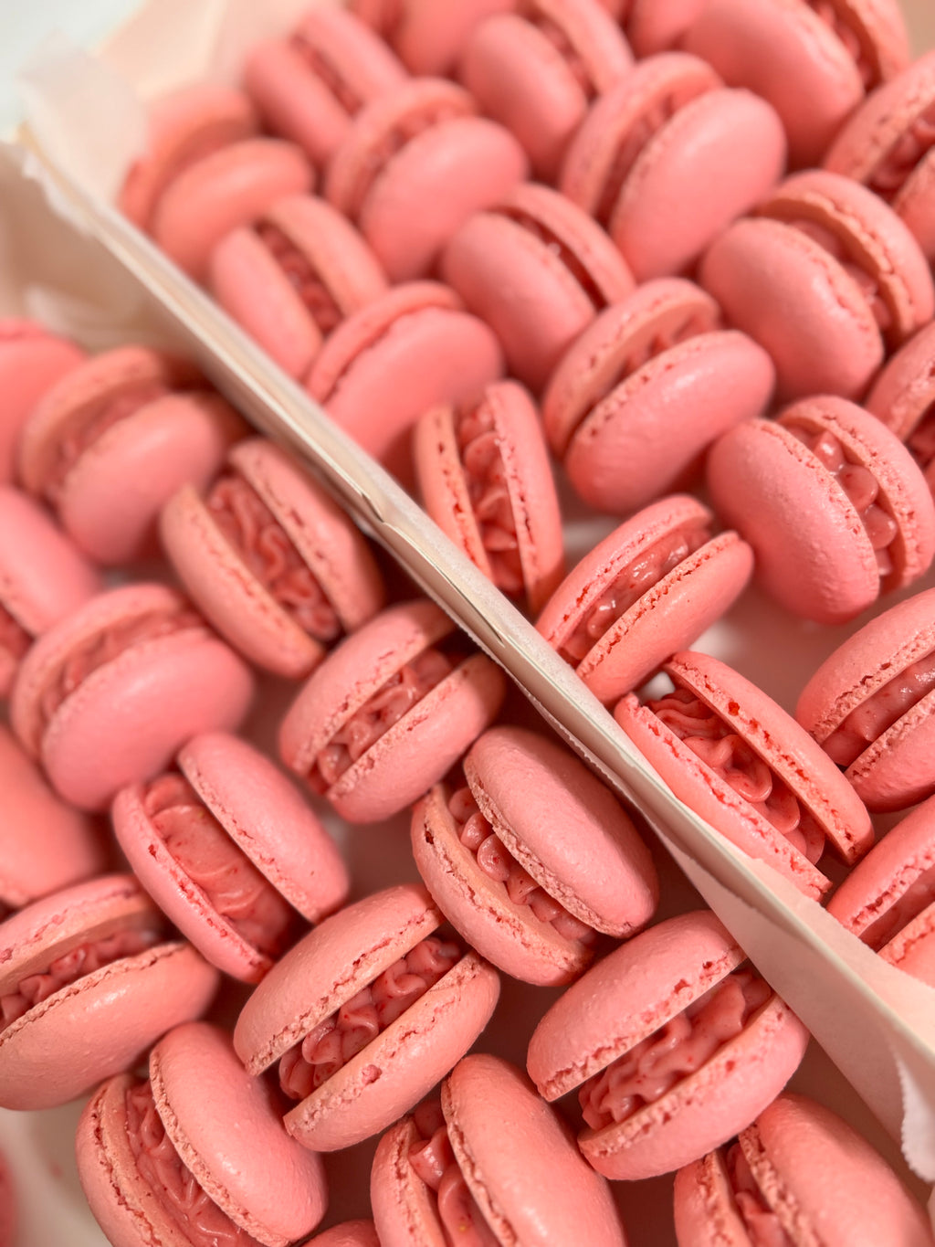 CLASSIC MACARONS