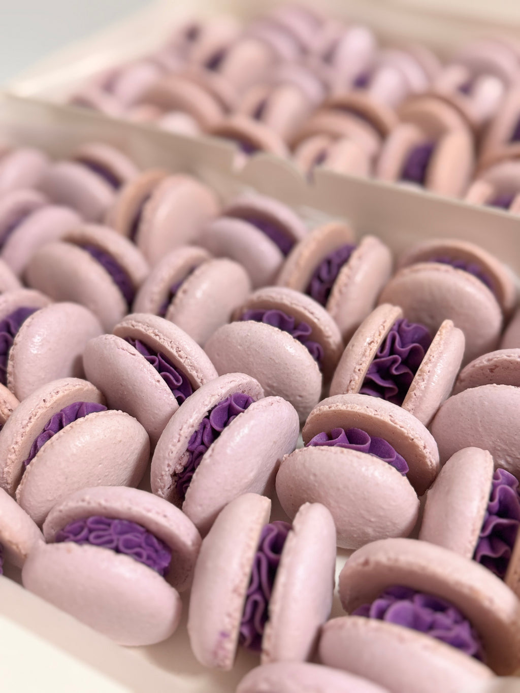 CLASSIC MACARONS